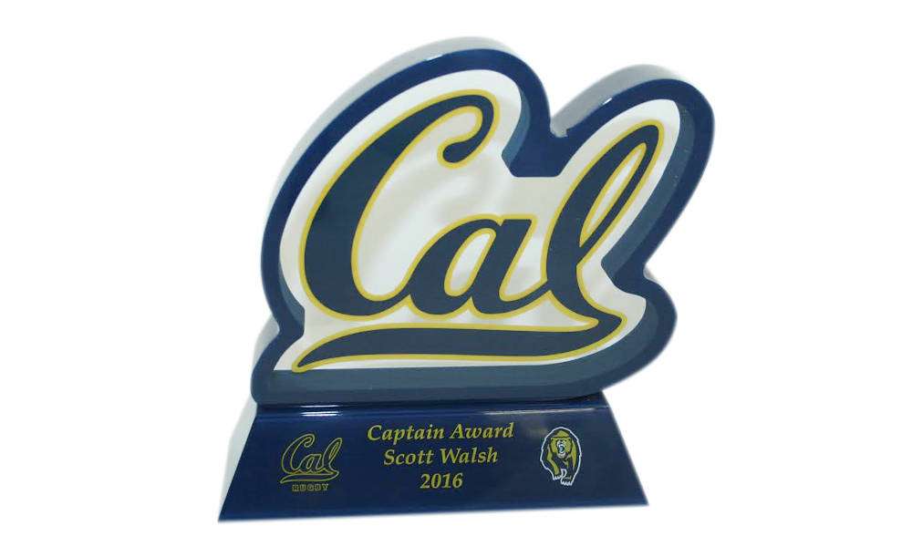 Custom Acrylic Sports Award